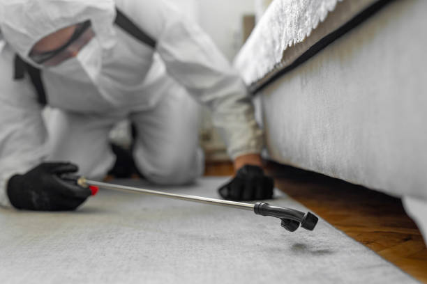 Professional Bed Bug Control technician working in Lincoln County County, OK
